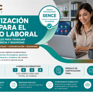 Alfabetización digital y sistemas de negocios