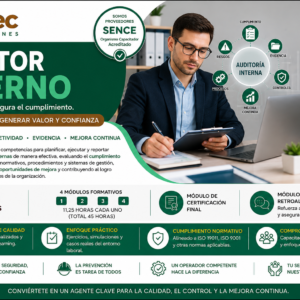 Auditor Interno