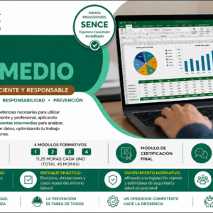 Excel Intermedio
